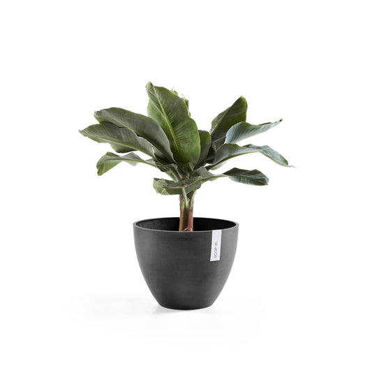 Kukkaruukku - Ecopots - Antwerpen 40cm tummanharmaa - Ecopotskauppa - Uuden aikakauden kukkaruukku