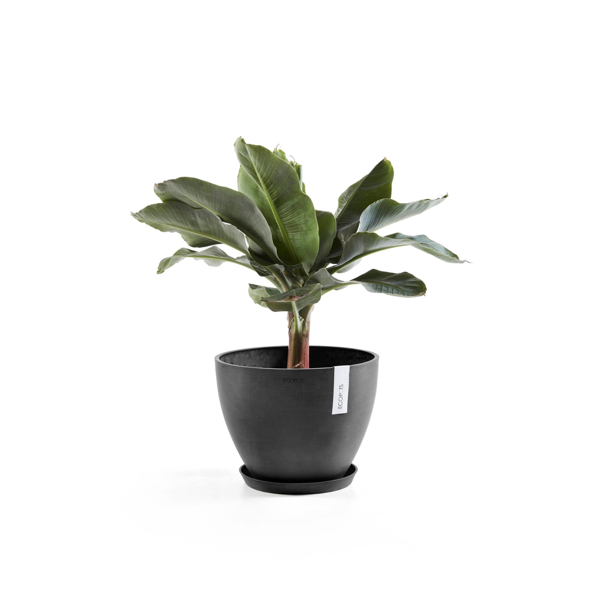 Kukkaruukku - Ecopots - Antwerpen 40cm tummanharmaa - Ecopotskauppa - Uuden aikakauden kukkaruukku