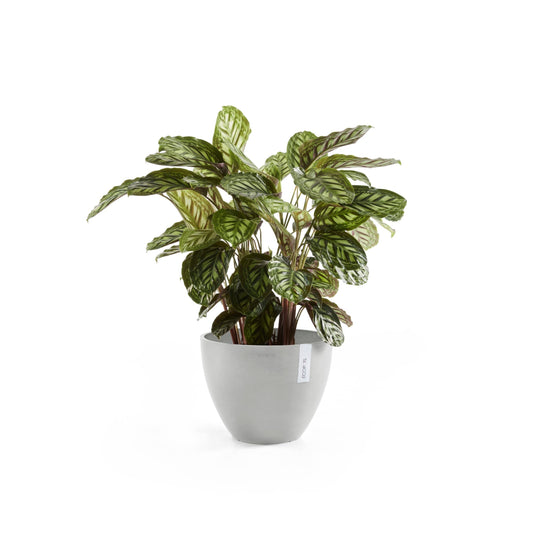 Kukkaruukku - Ecopots - Antwerpen 50cm valkoharmaa - Ecopotskauppa - Uuden aikakauden kukkaruukku