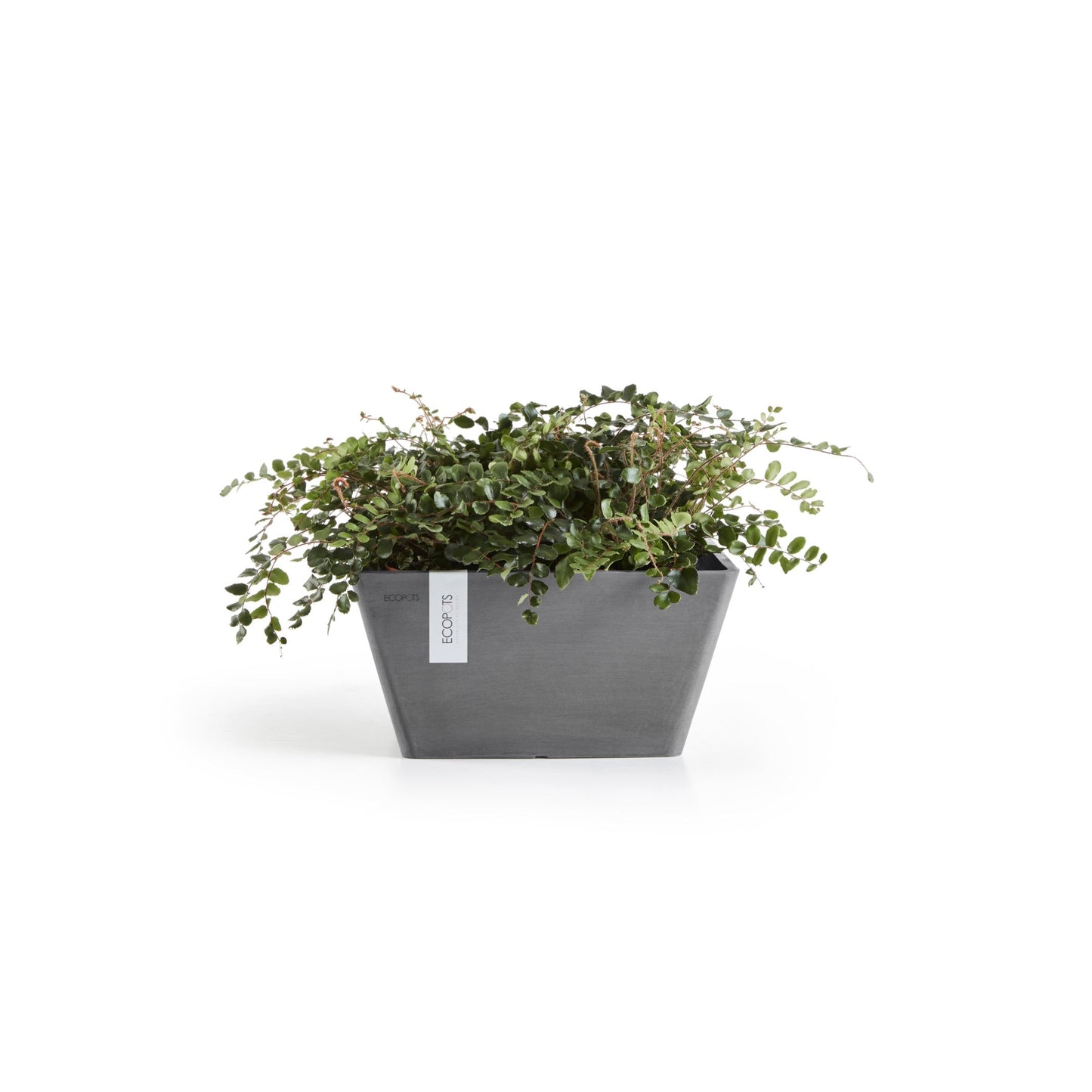 Kukkaruukku - Ecopots - Berliini 30cm harmaa - Ecopotskauppa - Uuden aikakauden kukkaruukku