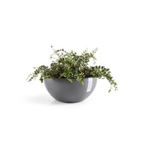Lillepott Brysseli 25cm hall