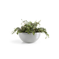 Kukkaruukku Brysseli 25cm valkoharmaa