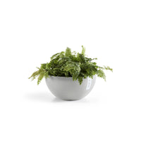 Lillepott Brysseli 35cm valgehall