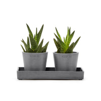 Lillepottide väljapanekualus 20cm hall