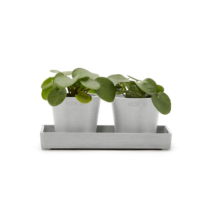 Kukkaruukku - Ecopots - Esillepanotarjotin 20cm valkoharmaa - Ecopotskauppa - Uuden aikakauden kukkaruukku