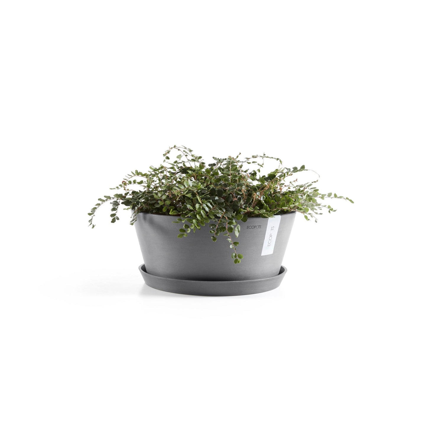 Kukkaruukku - Ecopots - Frankfurt 50cm harmaa - Ecopotskauppa - Uuden aikakauden kukkaruukku