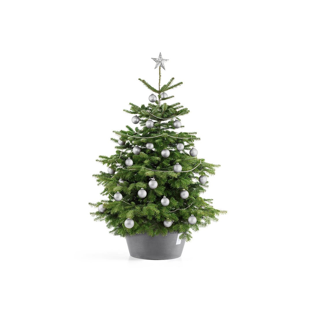 Kukkaruukku - Ecopots - Joulukuusenjalka XL harmaa - Ecopots - Uuden aikakauden kukkaruukku kierrätysmateriaalista