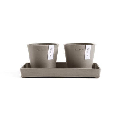 Kukkaruukku - Ecopots - Kukkaruukku Amsterdam 10,5cm 2kpl & esillepanotarjotin 25cm taupe - Ecopots - Uuden aikakauden kukkaruukku kierrätysmateriaalista