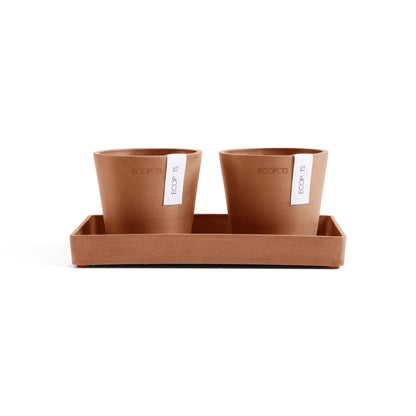 Kukkaruukku - Ecopots - Kukkaruukku Amsterdam 10,5cm 2kpl & esillepanotarjotin 25cm terracotta - Ecopots - Uuden aikakauden kukkaruukku kierrätysmateriaalista