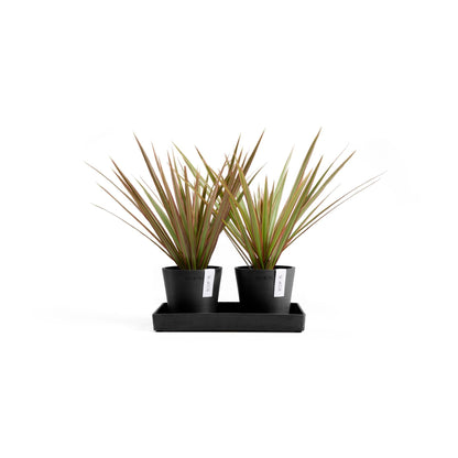 Kukkaruukku - Ecopots - Kukkaruukku Amsterdam 10,5cm 2kpl & esillepanotarjotin 25cm tummanharmaa - Ecopots - Uuden aikakauden kukkaruukku kierrätysmateriaalista