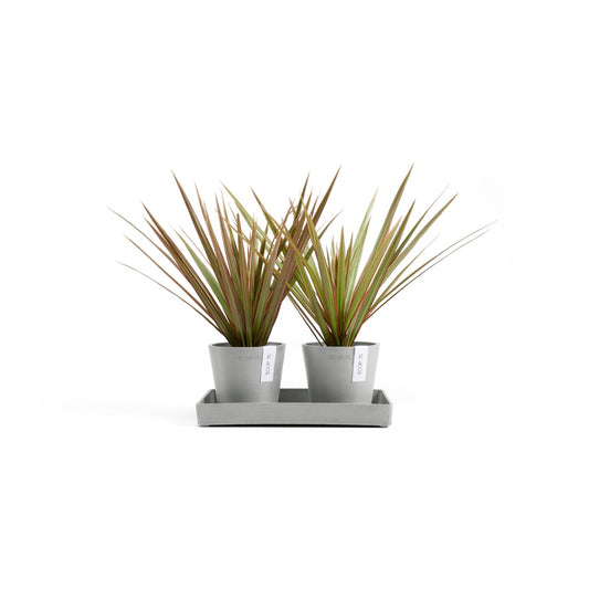 Kukkaruukku - Ecopots - Kukkaruukku Amsterdam 10,5cm 2kpl & esillepanotarjotin 25cm valkoharmaa - Ecopots - Uuden aikakauden kukkaruukku kierrätysmateriaalista