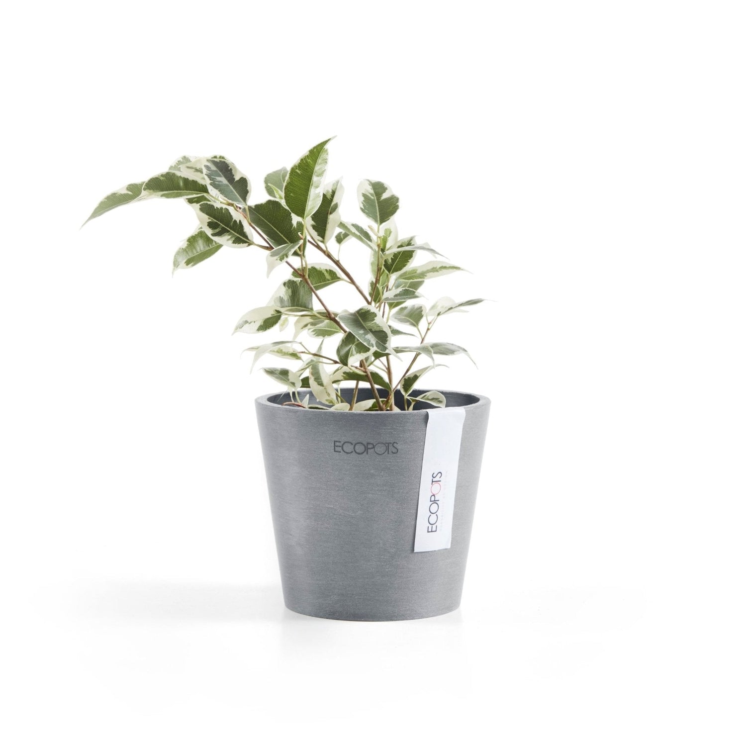 Kukkaruukku - Ecopots - Kukkaruukku Amsterdam 10,5cm siniharmaa - Ecopots - Uuden aikakauden kukkaruukku kierrätysmateriaalista