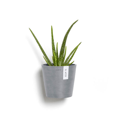 Kukkaruukku - Ecopots - Kukkaruukku Amsterdam 20cm seinälle siniharmaa - Ecopots - Uuden aikakauden kukkaruukku kierrätysmateriaalista