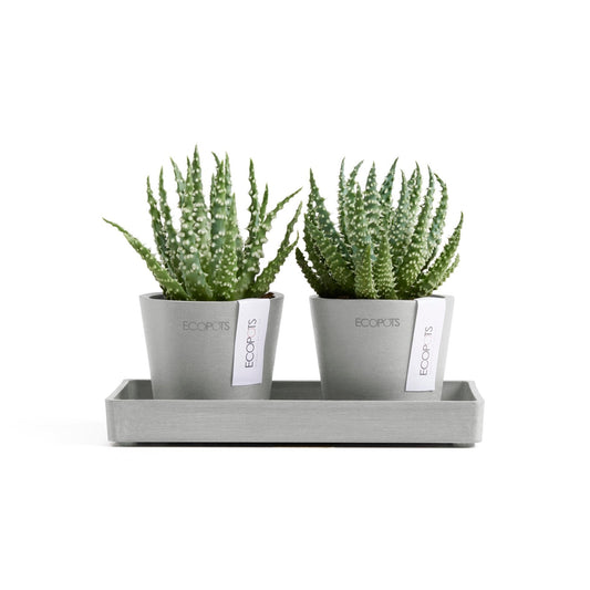 Kukkaruukku - Ecopots - Kukkaruukku Amsterdam 8cm 2kpl & esillepanotarjotin 20cm valkoharmaa - Ecopots - Uuden aikakauden kukkaruukku kierrätysmateriaalista