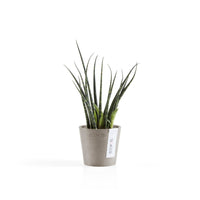 Lillepott Amsterdam 8cm taupe