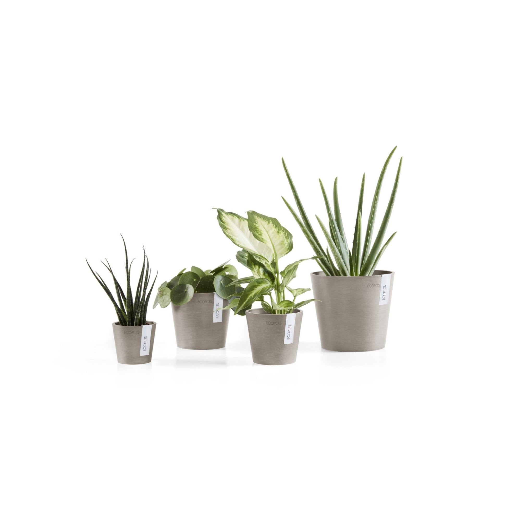 Kukkaruukku - Ecopots - Kukkaruukku Amsterdam 8cm taupe - Ecopots - Uuden aikakauden kukkaruukku kierrätysmateriaalista