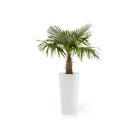 Lillepott Amsterdam kõrge 90cm valge