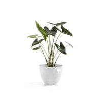 Lillepott Antwerpen 30cm valge