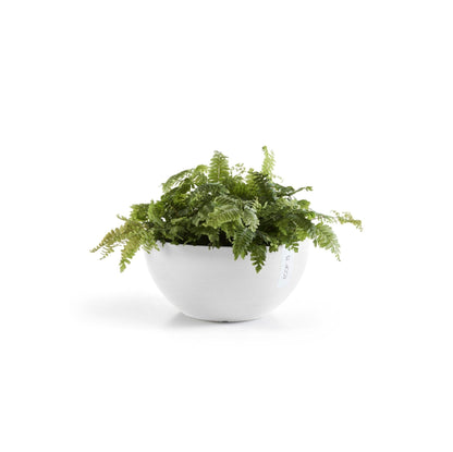 Kukkaruukku - Ecopots - Kukkaruukku Brysseli 30cm valkoinen - Ecopots - Uuden aikakauden kukkaruukku kierrätysmateriaalista