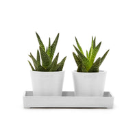 Lillepottide väljapanekualus 20cm valge