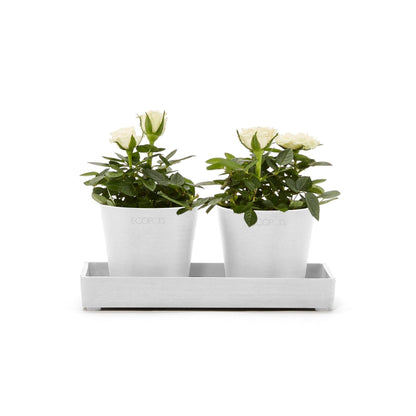 Kukkaruukku - Ecopots - Kukkaruukku esillepanotarjotin 20cm valkoinen - Ecopots - Uuden aikakauden kukkaruukku kierrätysmateriaalista