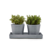 Lillepottide väljapanekualus 25cm sinihall