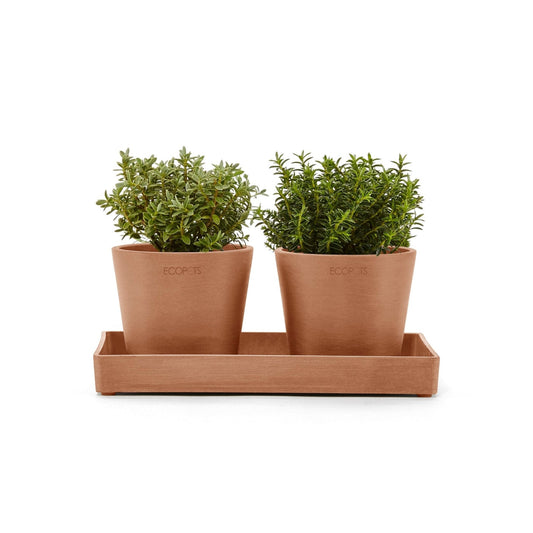 Kukkaruukku - Ecopots - Kukkaruukku esillepanotarjotin 25cm terracotta - Ecopots - Uuden aikakauden kukkaruukku kierrätysmateriaalista