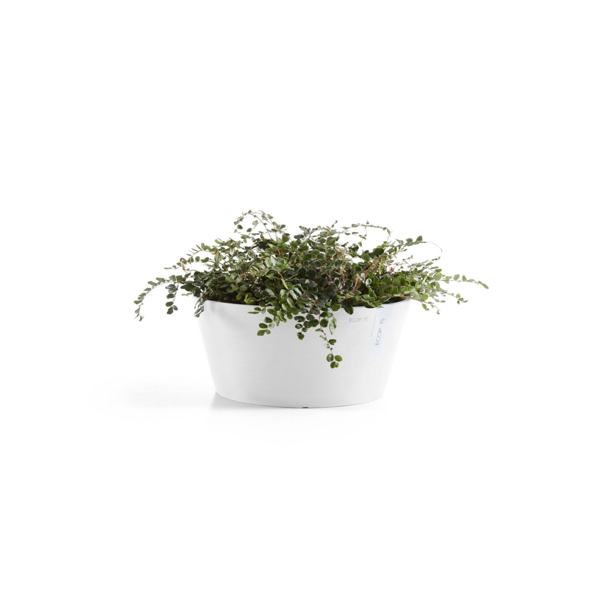 Kukkaruukku - Ecopots - Kukkaruukku Frankfurt 30cm valkoinen - Ecopots - Uuden aikakauden kukkaruukku kierrätysmateriaalista