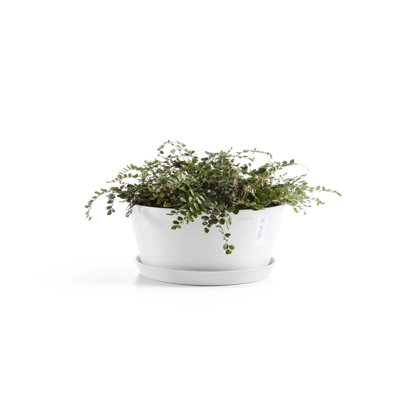 Kukkaruukku - Ecopots - Kukkaruukku Frankfurt 30cm valkoinen - Ecopots - Uuden aikakauden kukkaruukku kierrätysmateriaalista