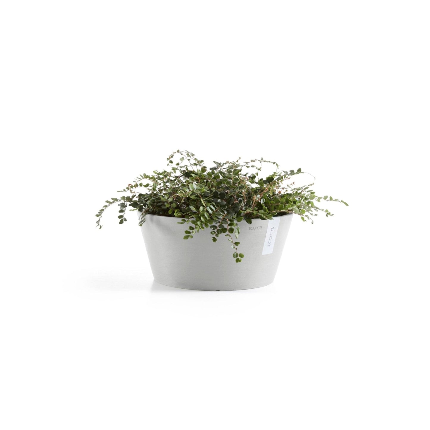 Kukkaruukku - Ecopots - Kukkaruukku Frankfurt 40cm valkoharmaa - Ecopots - Uuden aikakauden kukkaruukku kierrätysmateriaalista