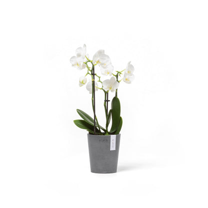 Kukkaruukku - Ecopots - Kukkaruukku Morinda 11cm harmaa - Ecopots - Uuden aikakauden kukkaruukku kierrätysmateriaalista