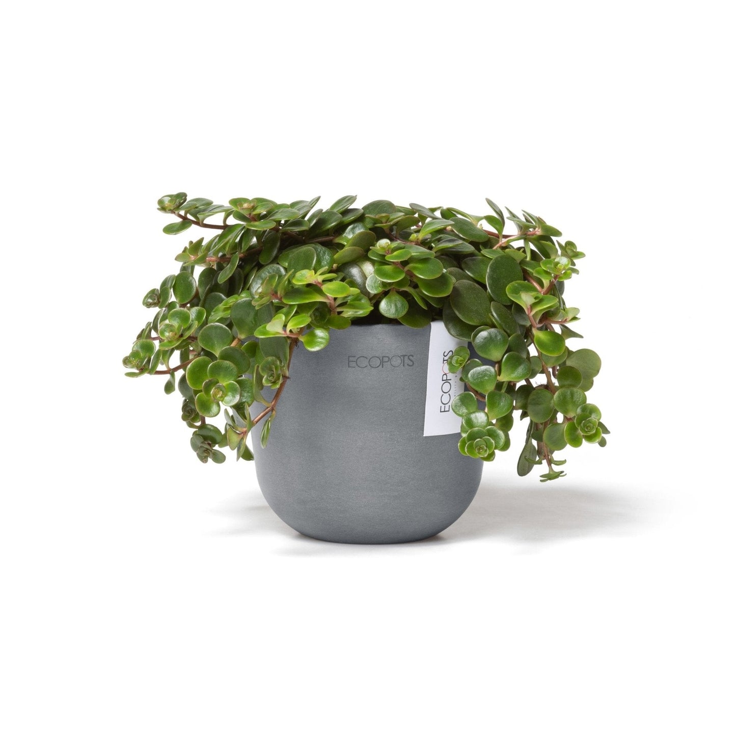 Kukkaruukku - Ecopots - Kukkaruukku Oslo 11,5cm siniharmaa - Ecopots - Uuden aikakauden kukkaruukku kierrätysmateriaalista