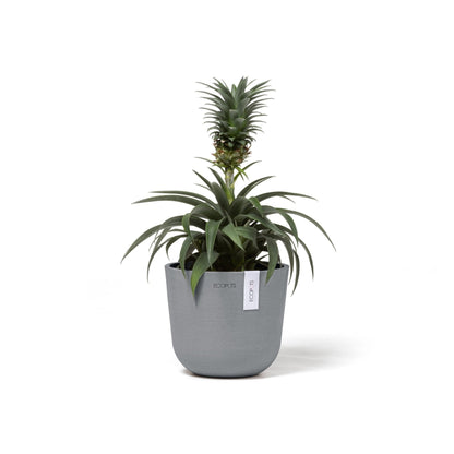 Kukkaruukku - Ecopots - Kukkaruukku Oslo 16cm siniharmaa - Ecopots - Uuden aikakauden kukkaruukku kierrätysmateriaalista