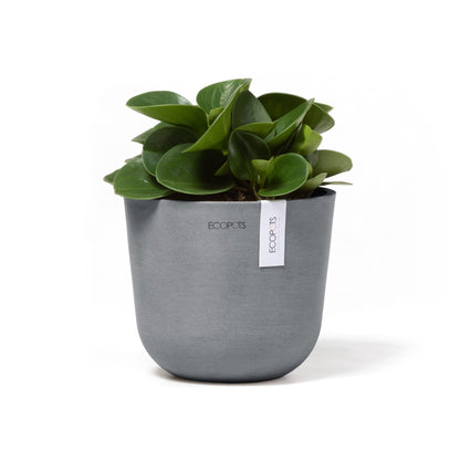 Kukkaruukku - Ecopots - Kukkaruukku Oslo 16cm siniharmaa - Ecopots - Uuden aikakauden kukkaruukku kierrätysmateriaalista