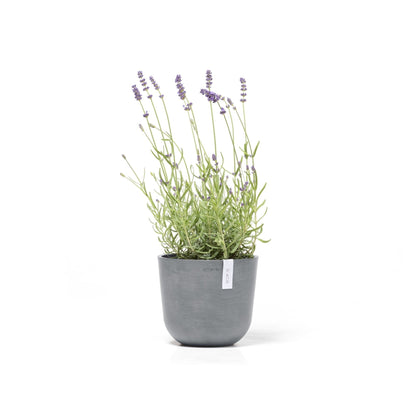 Kukkaruukku - Ecopots - Kukkaruukku Oslo 19cm siniharmaa - Ecopots - Uuden aikakauden kukkaruukku kierrätysmateriaalista