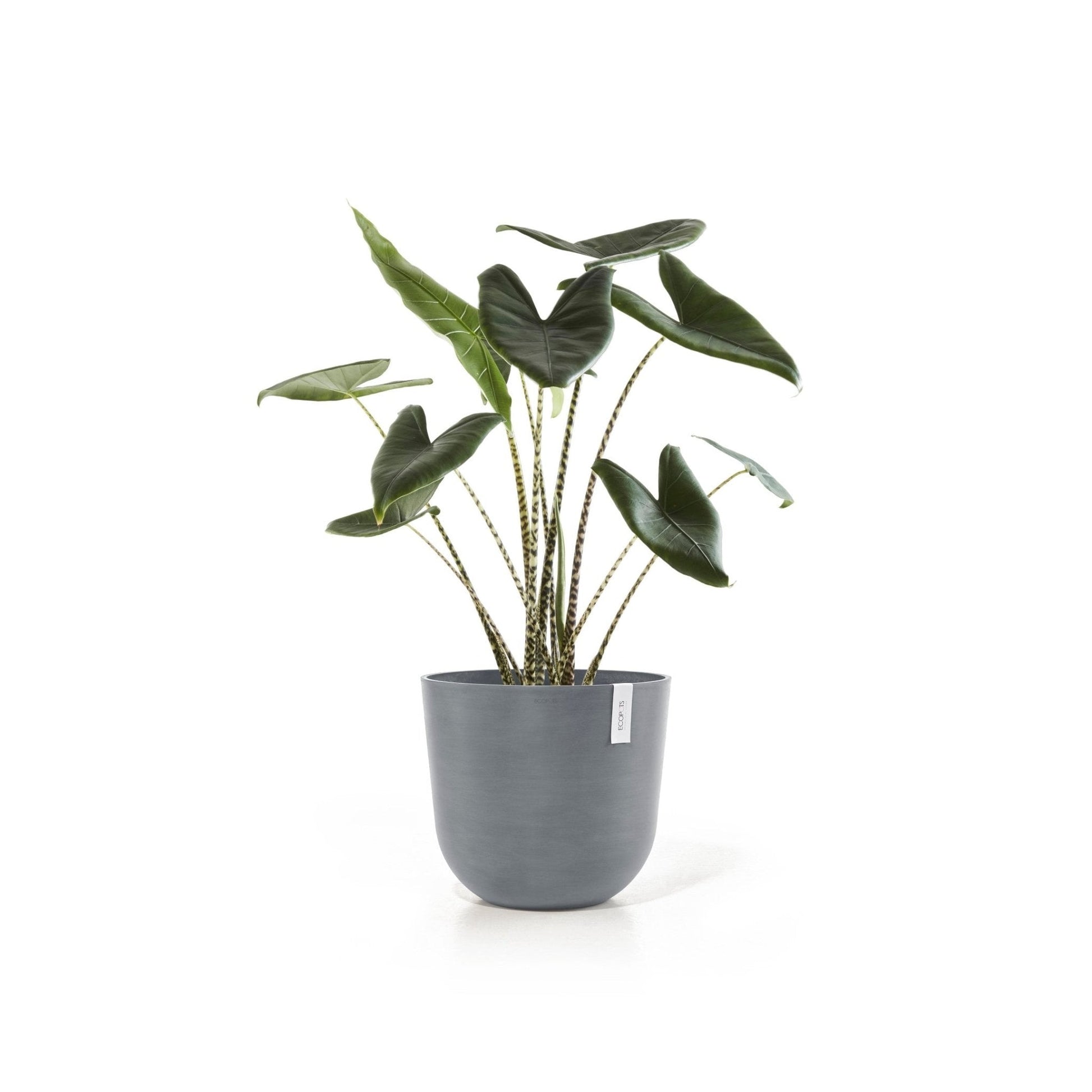 Kukkaruukku - Ecopots - Kukkaruukku Oslo 45cm siniharmaa - Ecopots - Uuden aikakauden kukkaruukku kierrätysmateriaalista