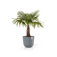 Lillepott Oslo 55cm sinihall