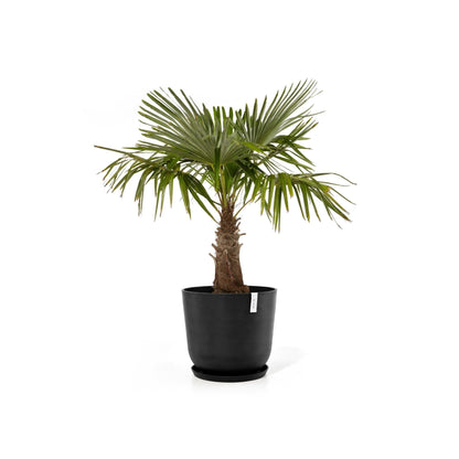 Kukkaruukku - Ecopots - Kukkaruukku Oslo 65cm tummanharmaa - Ecopots - Uuden aikakauden kukkaruukku kierrätysmateriaalista
