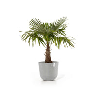 Lillepott Oslo 65cm valgehall
