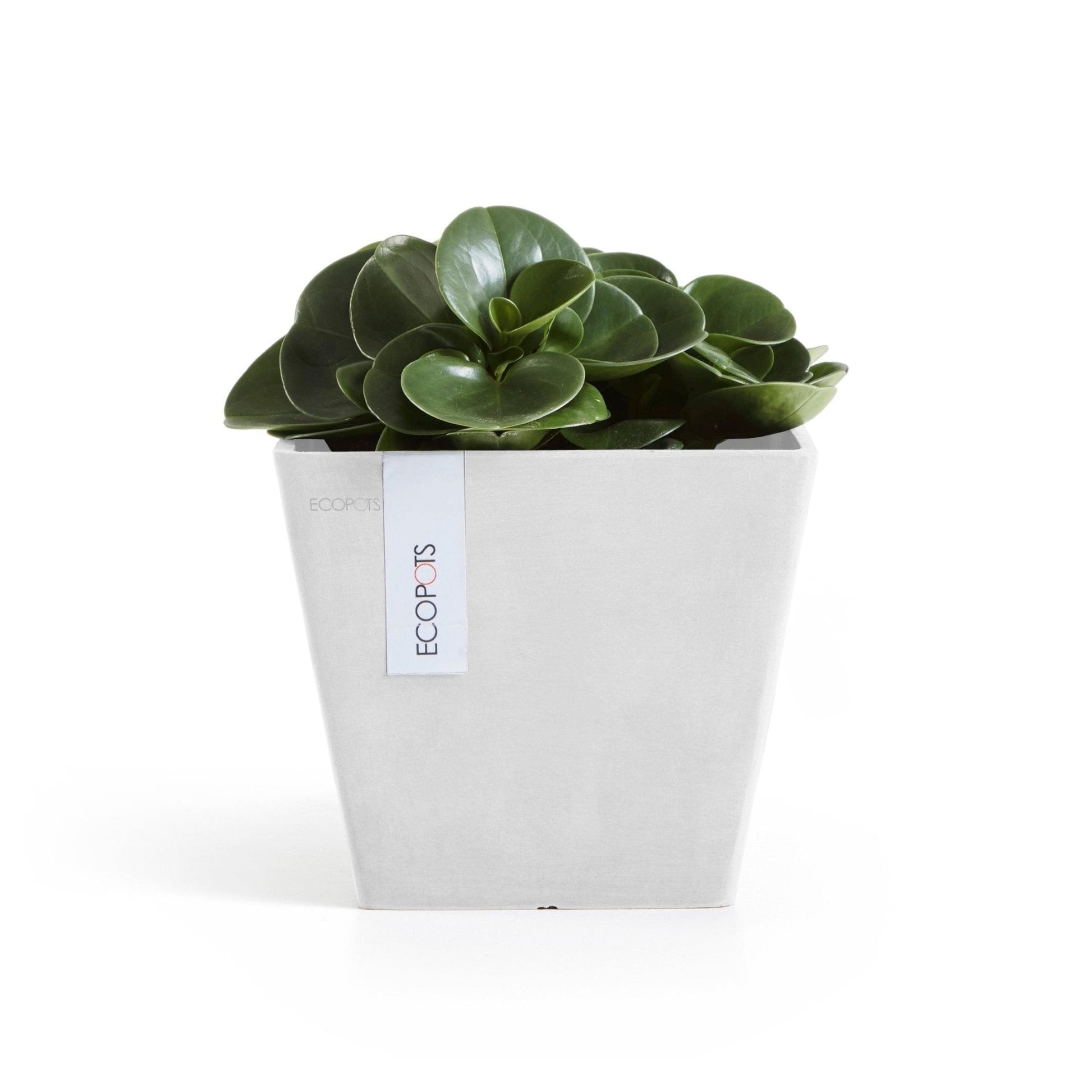 Kukkaruukku - Ecopots - Kukkaruukku Rotterdam 20cm valkoinen - Ecopots - Uuden aikakauden kukkaruukku kierrätysmateriaalista