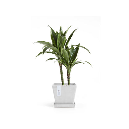 Kukkaruukku - Ecopots - Kukkaruukku Rotterdam 20cm valkoinen - Ecopots - Uuden aikakauden kukkaruukku kierrätysmateriaalista