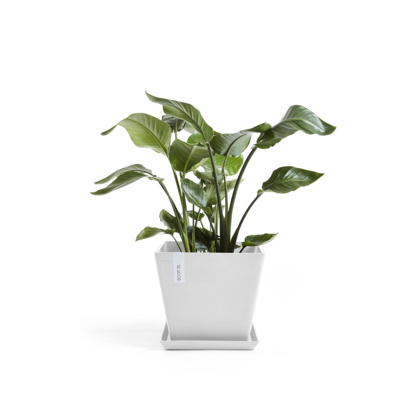 Kukkaruukku - Ecopots - Kukkaruukku Rotterdam 50cm valkoinen - Ecopots - Uuden aikakauden kukkaruukku kierrätysmateriaalista