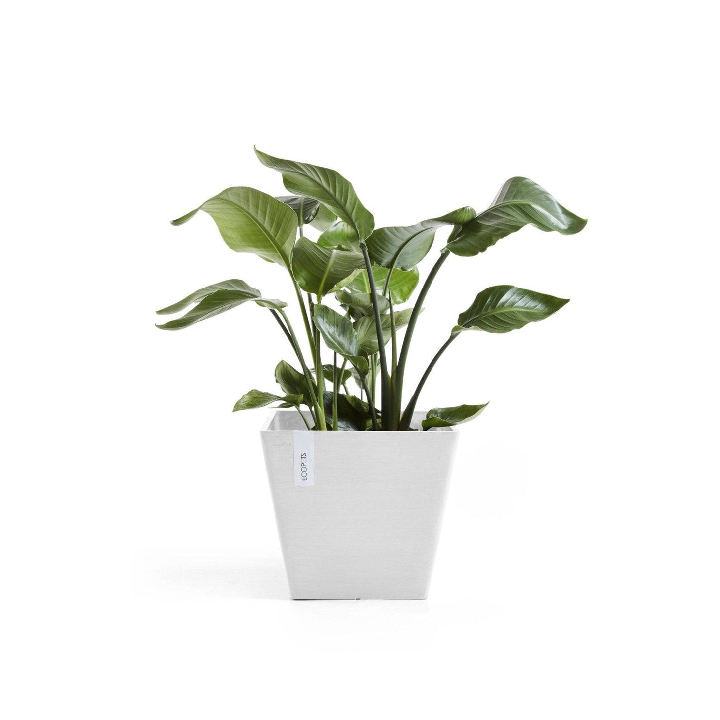 Kukkaruukku - Ecopots - Kukkaruukku Rotterdam 50cm valkoinen - Ecopots - Uuden aikakauden kukkaruukku kierrätysmateriaalista