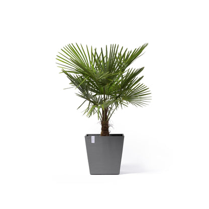 Kukkaruukku - Ecopots - Kukkaruukku Rotterdam pyörillä 50cm harmaa - Ecopots - Uuden aikakauden kukkaruukku kierrätysmateriaalista