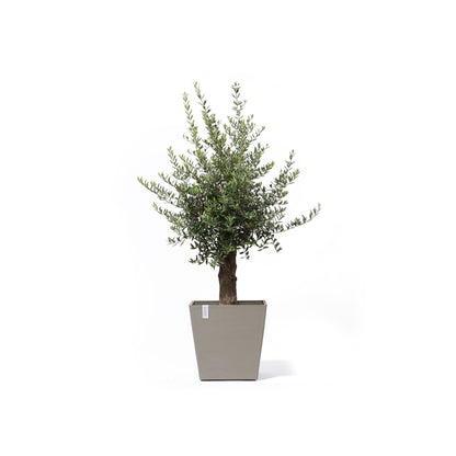 Kukkaruukku - Ecopots - Kukkaruukku Rotterdam pyörillä 50cm taupe - Ecopots - Uuden aikakauden kukkaruukku kierrätysmateriaalista