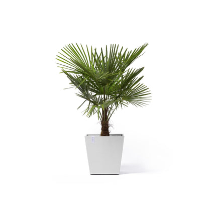 Kukkaruukku - Ecopots - Kukkaruukku Rotterdam pyörillä 50cm valkoinen - Ecopots - Uuden aikakauden kukkaruukku kierrätysmateriaalista