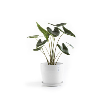 Kukkaruukku - Ecopots - Kukkaruukku Sankara 40cm valkoinen - Ecopots - Uuden aikakauden kukkaruukku kierrätysmateriaalista