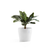 Lillepott Sankara 40cm valge