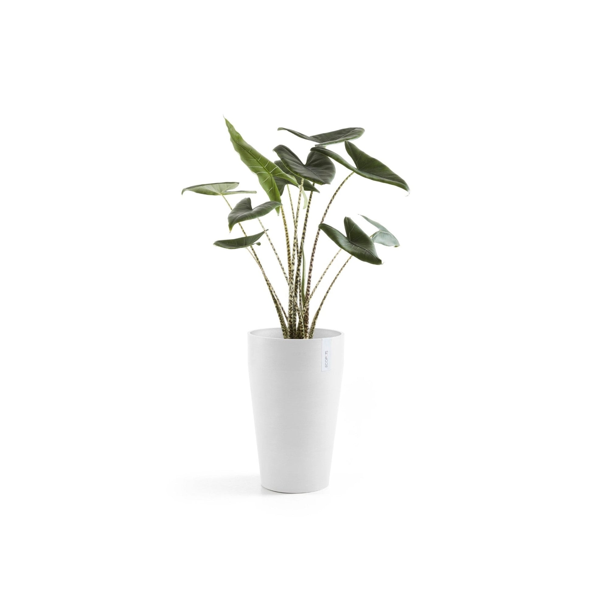 Kukkaruukku - Ecopots - Kukkaruukku Sankara keskikorkea 55cm valkoinen - Ecopots - Uuden aikakauden kukkaruukku kierrätysmateriaalista