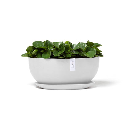 Kukkaruukku - Ecopots - Kukkaruukku Sofia 43cm valkoinen - Ecopots - Uuden aikakauden kukkaruukku kierrätysmateriaalista